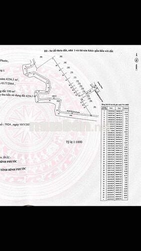 BÁN GẤP LÔ ĐẤT SÀO THỔ CƯ  2tỷ3