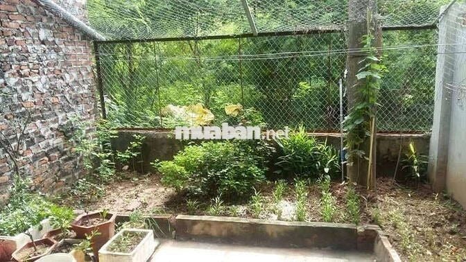 NHÀ ĐẤT Ở TT TRÂU QUỲ,GL,HN.102 M2,CHÀO HƠN 10 TỶ.Ô TÔ 7C VÀO NHÀ...