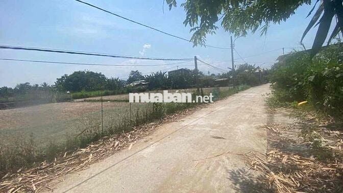 445m2 HOÀ KHƯƠNG , HOÀ TIẾN, ❌đường 5m giá ❌2ty4, ngang 20m, dài 22m