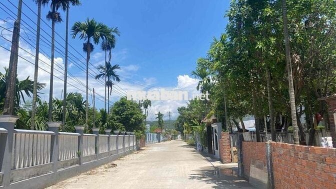1343m2 đất ở xây nhà vườn HOÀ TIẾN đường 3,5m ô tô giá 3tỷ3 GTL