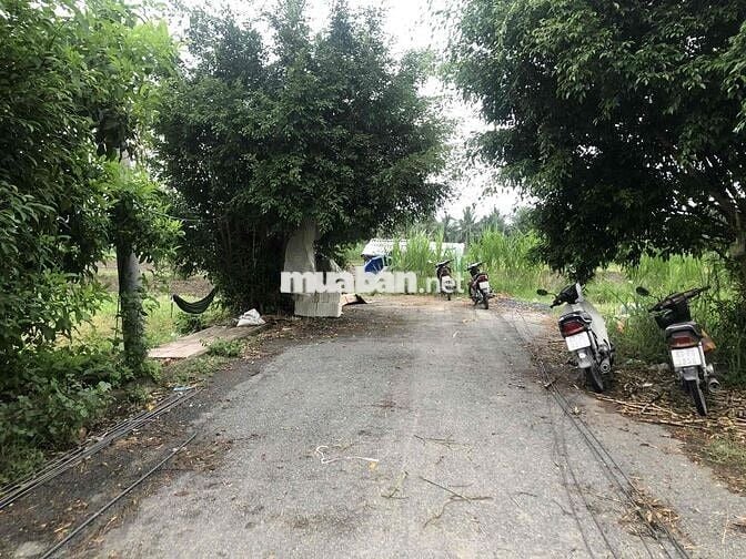 Cần bán gấp đất nền thổ cư phía sau KCN Tân Hương