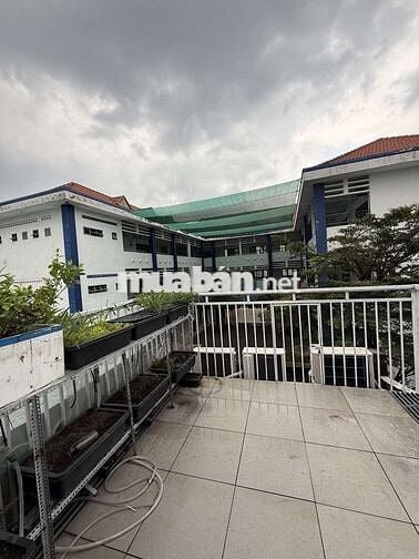 Gần Trường Phan Tây Hồ Nhà 3 Tầng 3 PN Nhỉnh 3 Tỏi