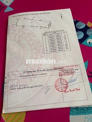 Nhà vườn 1774m2 xã Tân Thạnh Đông Củ Chi