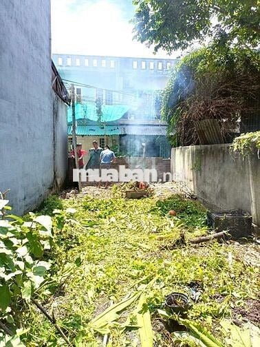🇻🇳🇻🇳. ĐẤT THỔ CƯ DT :  4X20 ĐƯỜNG Ô TÔ