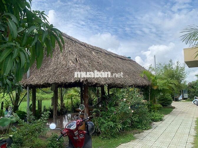Nhà vườn 1774m2 xã Tân Thạnh Đông Củ Chi