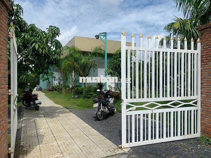 Nhà vườn 1774m2 xã Tân Thạnh Đông Củ Chi