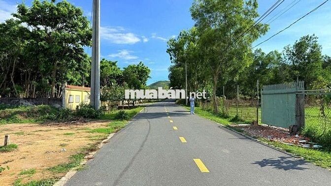ĐẤT NGỘP PHƯỚC HẢI 10X40M GẦN HỒ SỞ BÔNG GIÁ 2 TỶ 600