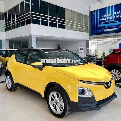 VF5 vi vu dạo phố-ưu đãi ngập tràn