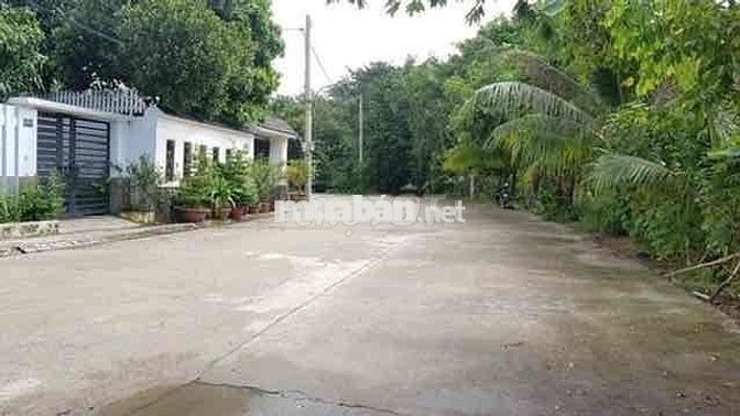 Sang gấp lô đất MT Trần Thị Thu, P4, Cao Lãnh, Đồng Tháp, 120 m2