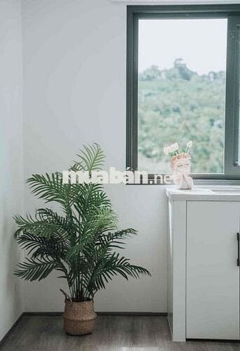 Chia tài sản bán gấp nhà sân vườn 260m2 giá 730tr