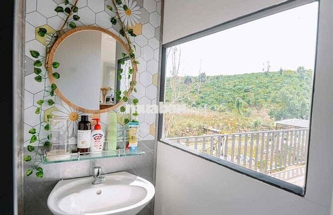 Chia tài sản bán gấp nhà sân vườn 260m2 giá 730tr