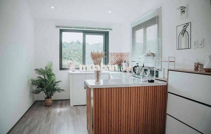 Chia tài sản bán gấp nhà sân vườn 260m2 giá 730tr