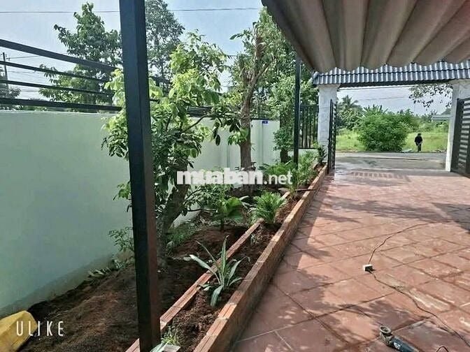 Căn nhà vườn 262m2 SHR Phước Vĩnh An, Củ Chi giá ngộp 930 triệu