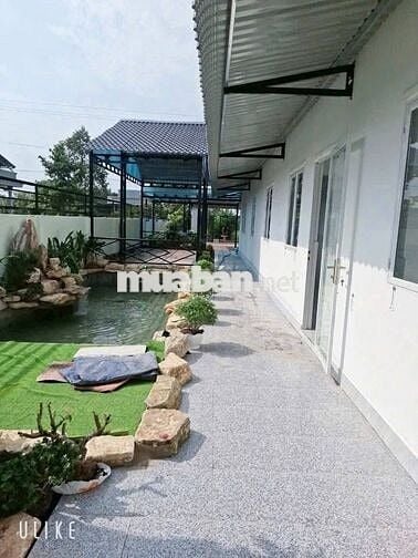 Căn nhà vườn 262m2 SHR Phước Vĩnh An, Củ Chi giá ngộp 930 triệu
