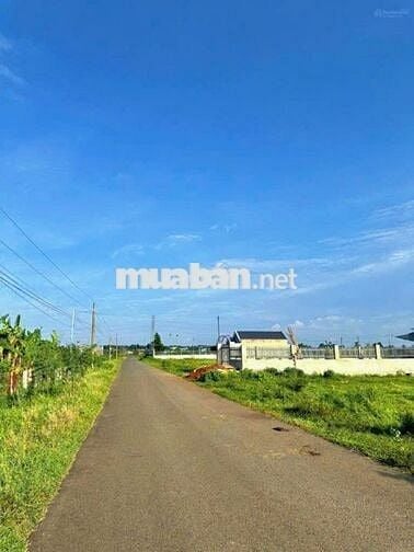 BÁN GẤP LÔ ĐẤT KHU DÂN CƯ CẠNH CAO TỐC BH VT– SỔ SẴN, CÔNG CHỨNG NGAY