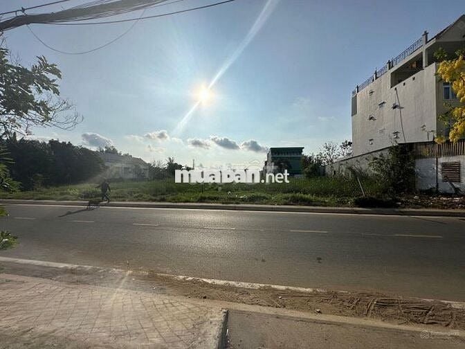 Bán Đất Thổ Cư 100%, MT Đào Sư Tích - Nhà Bè. DT: 8x40m (300m2)