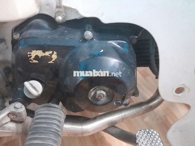 Bán cub đẹp 1997 bstp