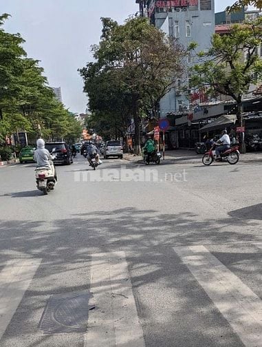 Bán gấp siêu phẩm Cầu Giấy, ô tô đỗ cửa, MT 5m, giá nhỉnh 12 tỷ