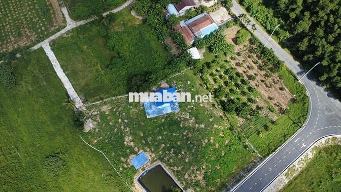 Đất nền 3500m2 tại 601, Hòa Bắc, Hòa Vang, Đà Nẵng, chỉ với 7,5 tỷ VND