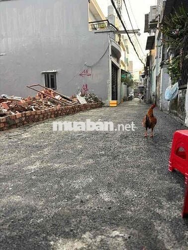 Hàng Hiếm Lô Góc Hẻm Xe Hơi Hiệp Bình Chanh - 4,4 tỷ