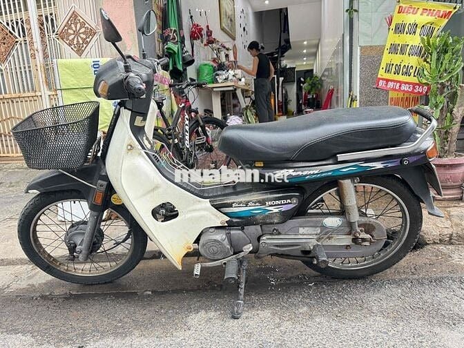 dream lùn nhập thái biển 43k1