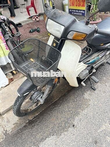 dream lùn nhập thái biển 43k1