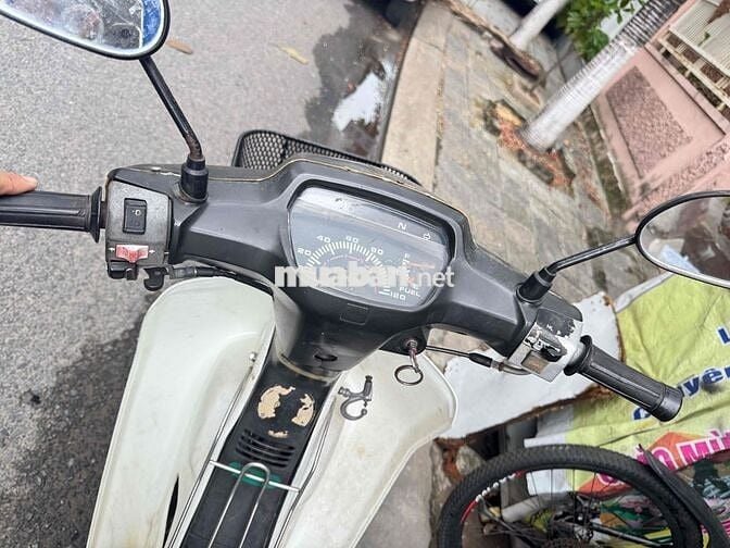 dream lùn nhập thái biển 43k1