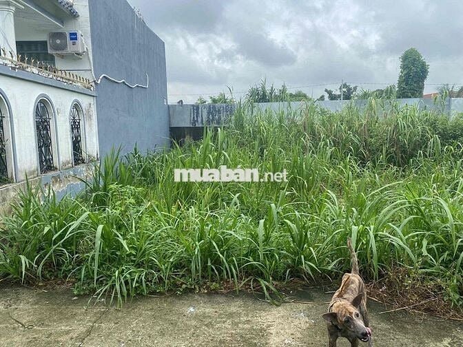ĐẤT LOANG AN - GIÁ RẺ - SHR - SANG TÊN TRONG NGÀY