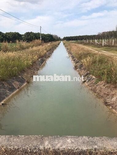 Quá Ngộp bán gấp lô đất 2 MT, Thạnh Đức, Gò Dầu,TN, 272m2, giá 825 tr