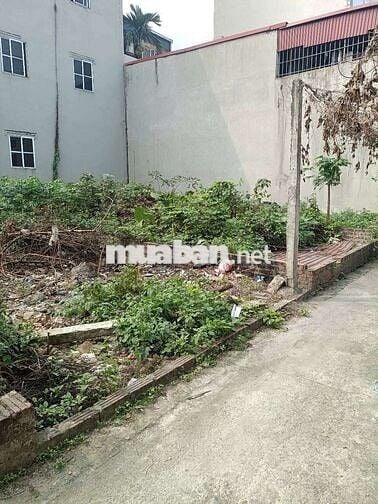 bán 75m cách 50m ra đường QL3  đất ở có sổ không quy hoạch tranh chấp