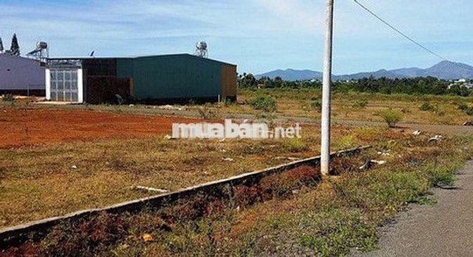 Đất KCN Trà Đa, Plei Ku,Gia Lai. DT 396,2m2 nở hậu, giá đtư chỉ 4ty3