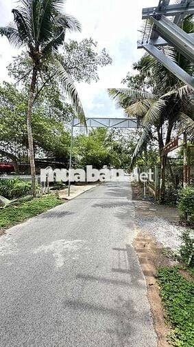 bán đất mặt tiền đinh công Chánh bình thủy