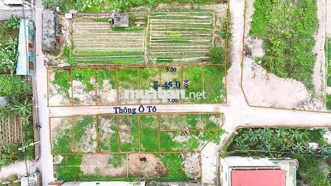 Bán 50m bắc hồng cách 50m ra đường liên xã ô tô đỗ