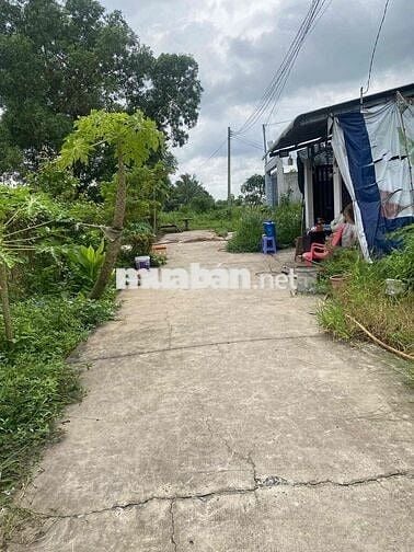 bán gấp 125m2 thổ cư 100% , SHR - ngay TT Đức Hoà - giáp Bình chánh