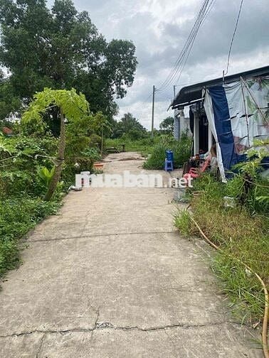 bán gấp 125m2 thổ cư 100% , SHR - ngay TT Đức Hoà - giáp Bình chánh