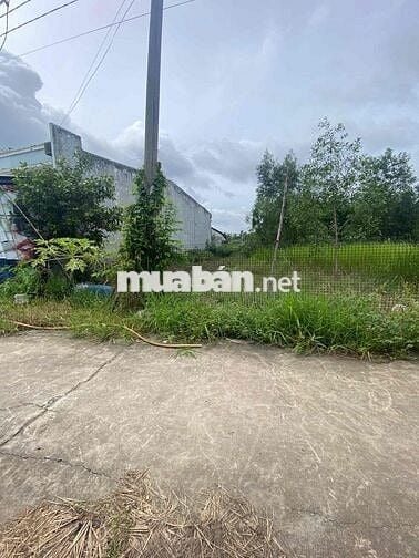 bán gấp 125m2 thổ cư 100% , SHR - ngay TT Đức Hoà - giáp Bình chánh
