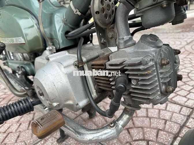 cub 50 kim vàng giọt lệ bstp chính chủ
