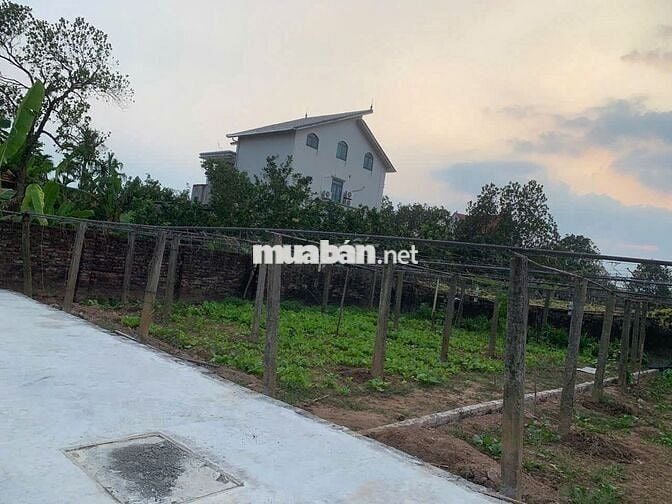 BÁN ĐẤT CÁCH MẶT ĐƯỜNG NHỰA 100M, VỈA HÈ 4M, KINH DOANH ĐỈNH,