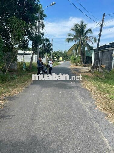 Bán Gấp Đất 90m² Xã Thái Mỹ, Củ Chi – Sổ Hồng Riêng, Giá Chỉ 450 Triệu