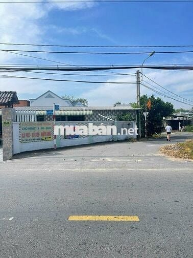 Bán Gấp Đất 90m² Xã Thái Mỹ, Củ Chi – Sổ Hồng Riêng, Giá Chỉ 450 Triệu