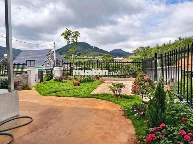 Ngân hàng siết nợ cần bán lỗ gấp lại nhà vườn 325m2 giá 900tr