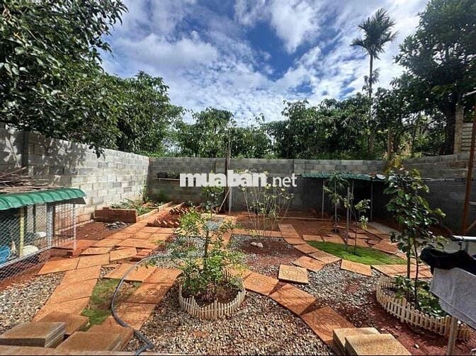 Ngân hàng siết nợ cần bán lỗ gấp lại nhà vườn 325m2 giá 900tr