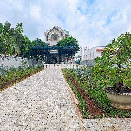 Đất nền kèm Biệt thự 4 lầu nở hậu MT Đào Sư Tích, Nhà Bè,1583m², 70 tỷ