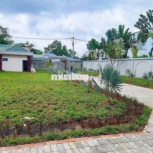 Đất nền kèm Biệt thự 4 lầu nở hậu MT Đào Sư Tích, Nhà Bè,1583m², 70 tỷ