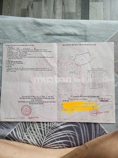 Bán ̃̃774 m2 đất trồng cây cây lâu năm
