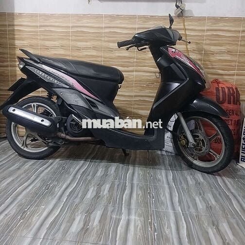 Dơi nha can ban