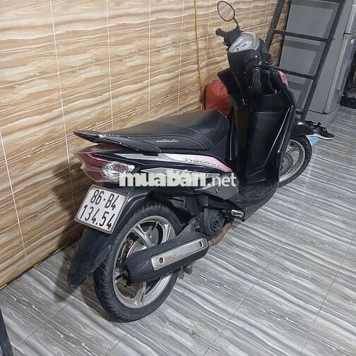 Dơi nha can ban