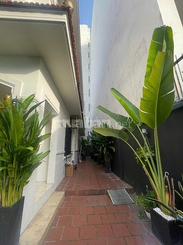  Biệt Thự Sân Vườn 240m2 giữa trung tâm Quận 10, 11x22, 3 tầng, 42 tỷ 