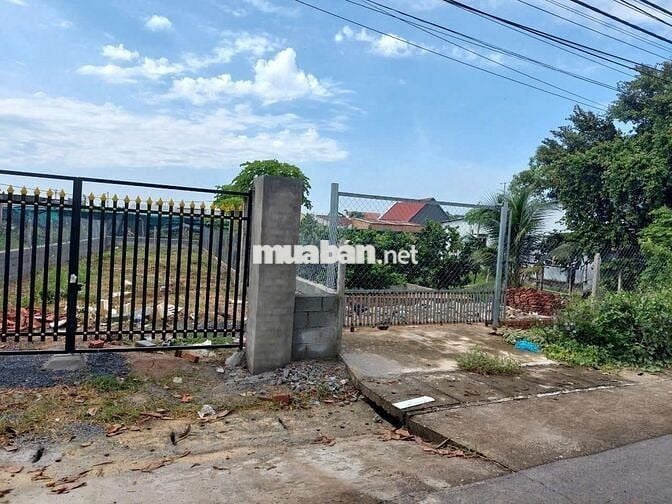 VỠ NỢ CHỦ GỬI BÁN LÔ ĐẤT 212m2 - Tân Thông Hội, Củ Chi. GIÁ 550 TRIỆU