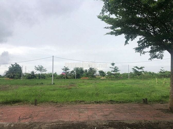 🌳 SỞ HỮU NGAY LÔ ĐẸP – ĐỐI DIỆN CÔNG VIÊN, CẠNH KHU DÂN CƯ HIỆN HỮU 🌳